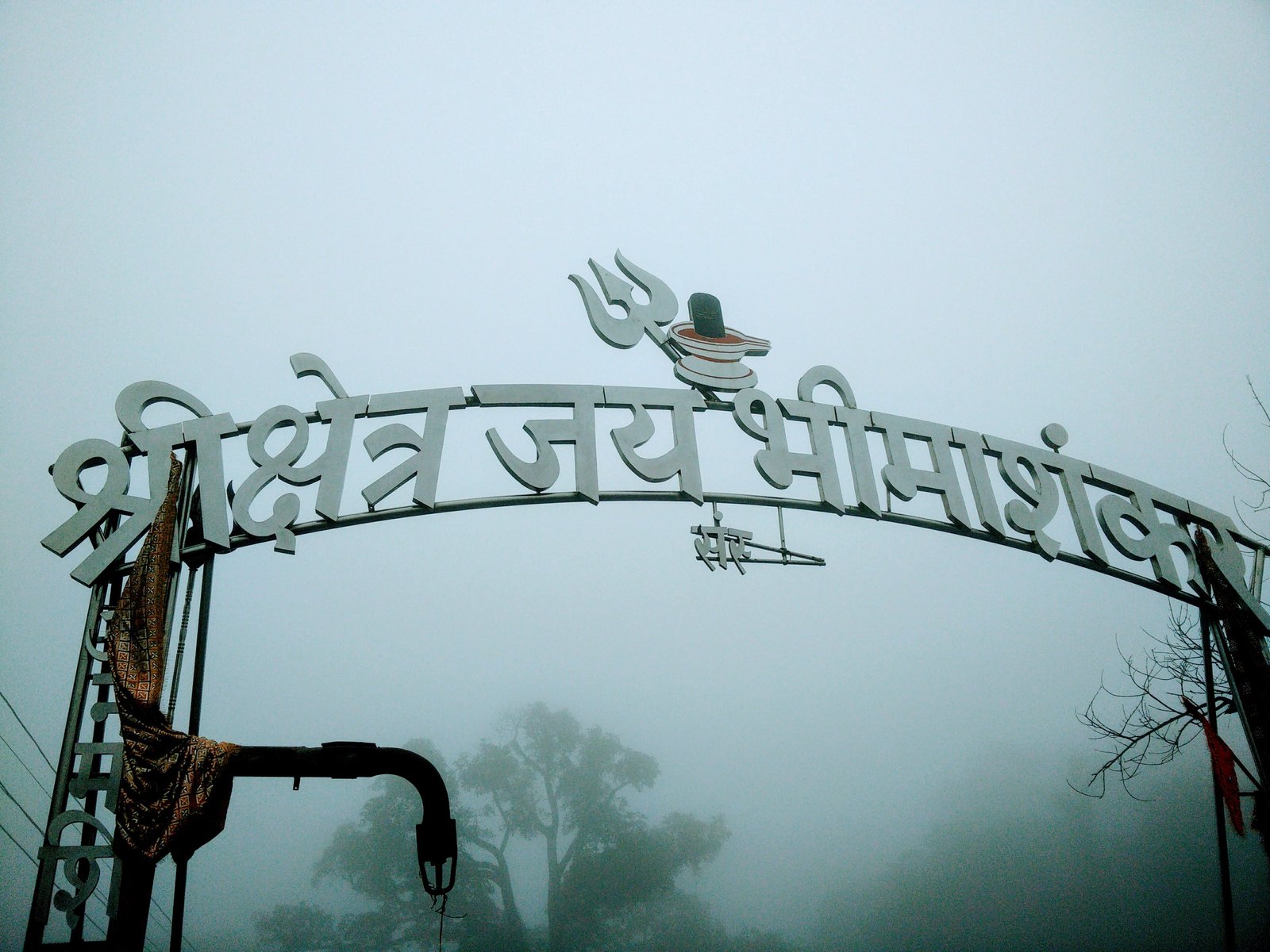 Top Force Urbania Vans On Rent in Pune